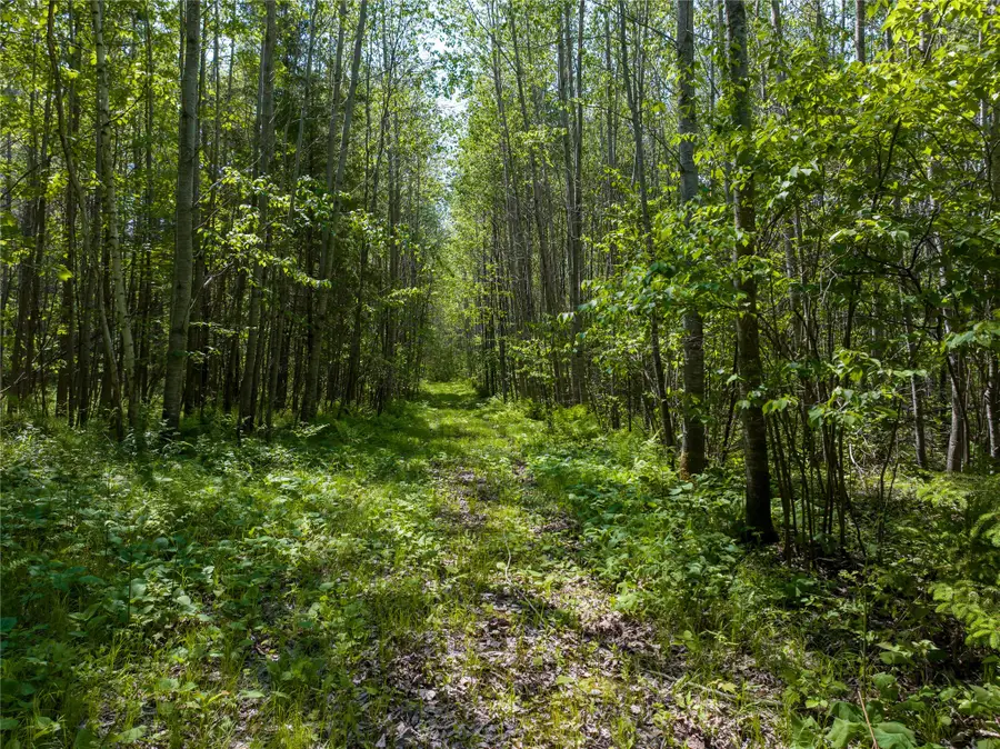 14195 County Highway M, Cable, WI 54821 - #2