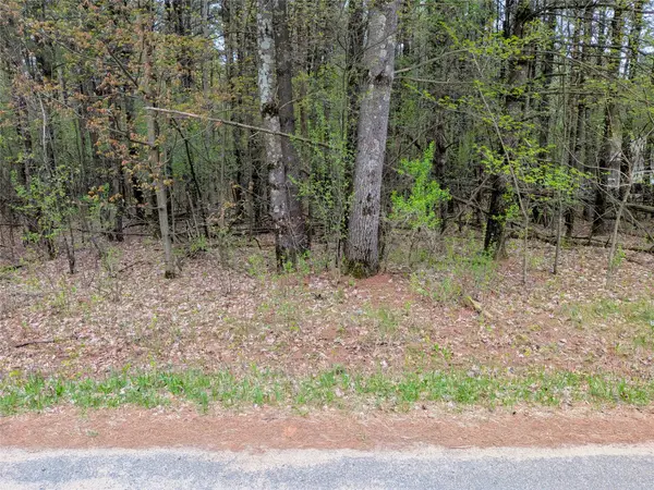 Vacant Lot 540th Street, Menomonie, WI 54751