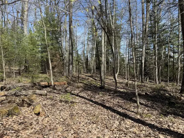 14667 W Point Drive, Hayward, WI 54843