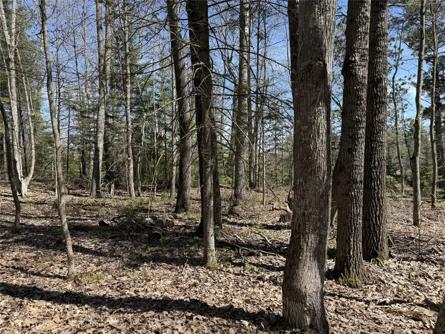14667 W Point Drive, Hayward, WI 54843 - #2