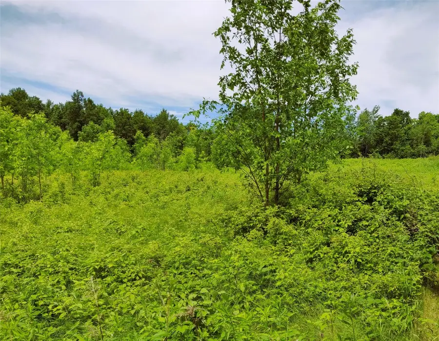 1.35 Acres On Isabella Lane, Sheldon, WI 54766 - #3