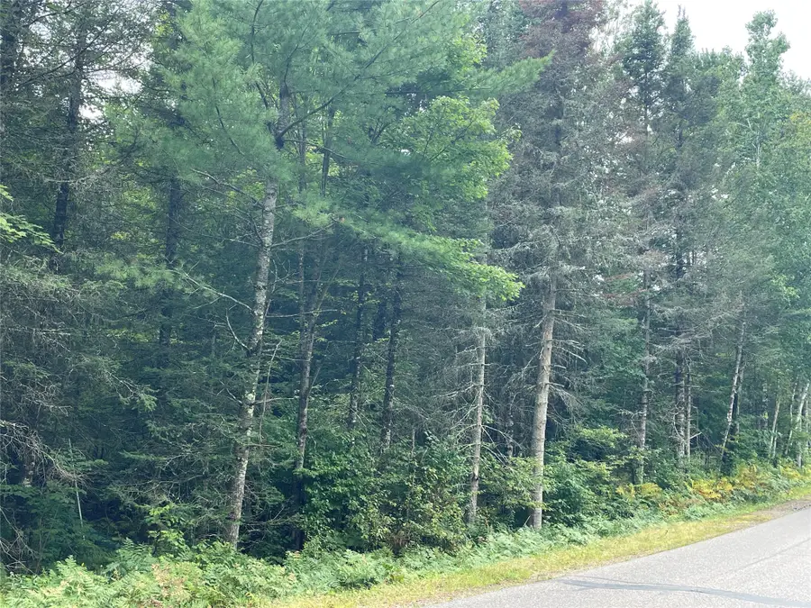 Lot 4 Hermosa Lane, Hayward, WI 54843 - #3