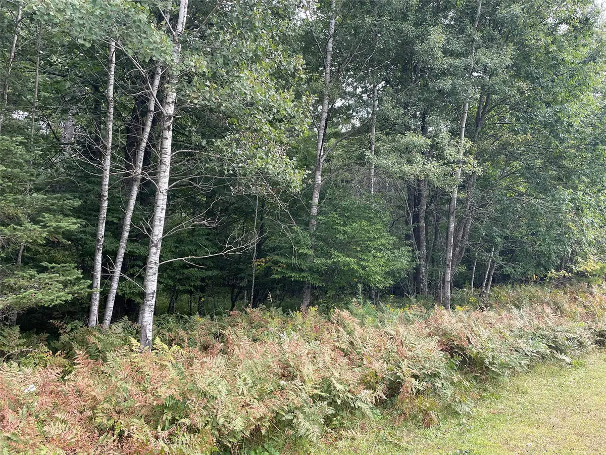 Lot 8 Hermosa Lane, Hayward, WI 54843 - #1