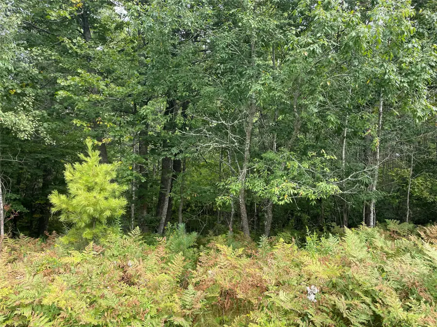 Lot 8 Hermosa Lane, Hayward, WI 54843 - #3