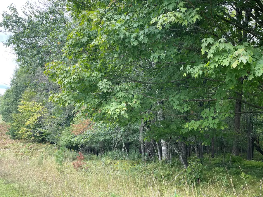 Lot 9 Hermosa Lane, Hayward, WI 54843 - #2