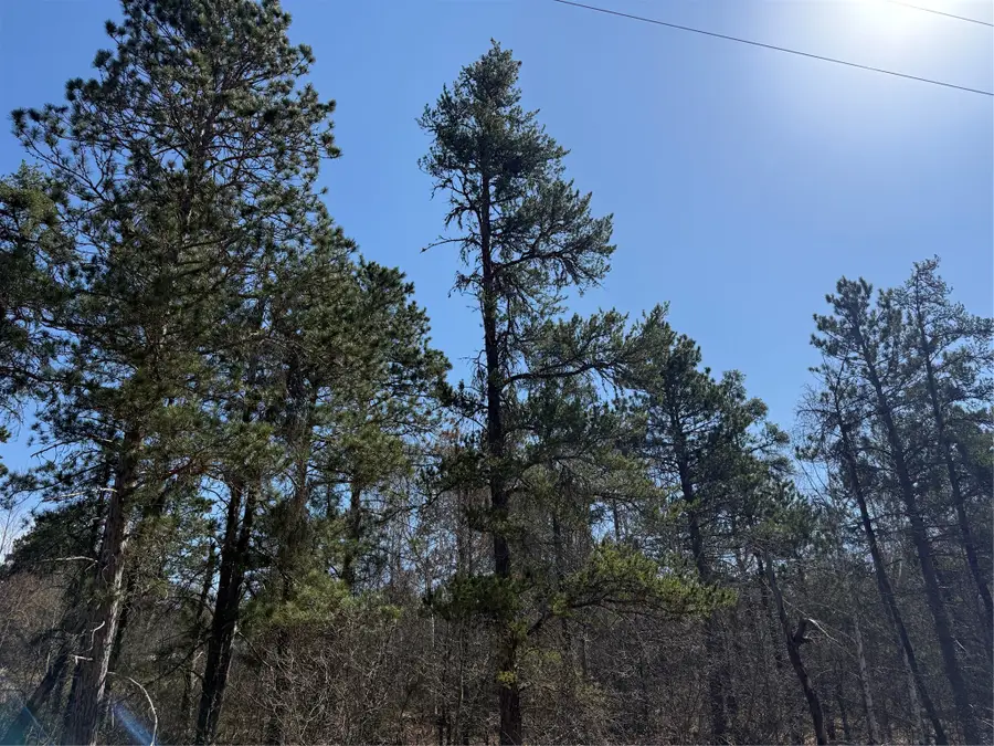Lot 51 Aspen Lane, Barnes, WI 54873 - #3