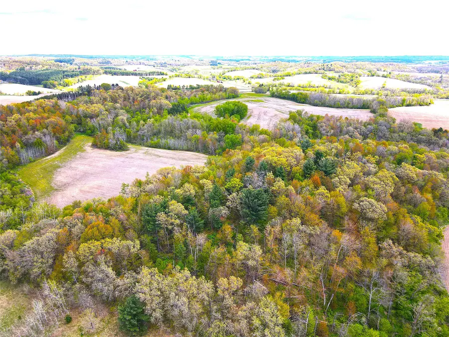 125 acres Steig Coulee Road, Osseo, WI 54758 - #2