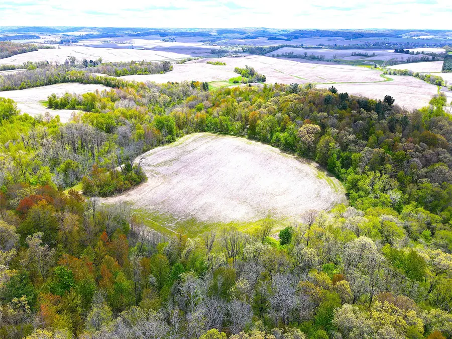 125 acres Steig Coulee Road, Osseo, WI 54758 - #3