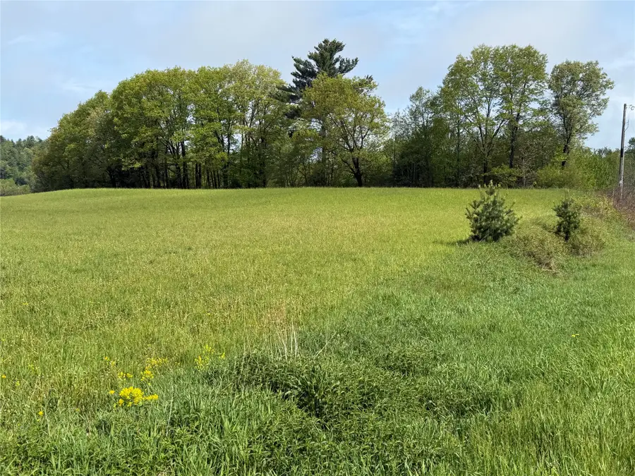 Lot 1 Carol Road, Merrillan, WI 54754 - #2