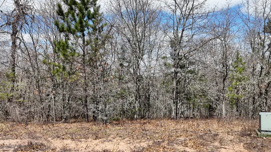 Lot 6 Secluded Lane, Gordon, WI 54838 - #3