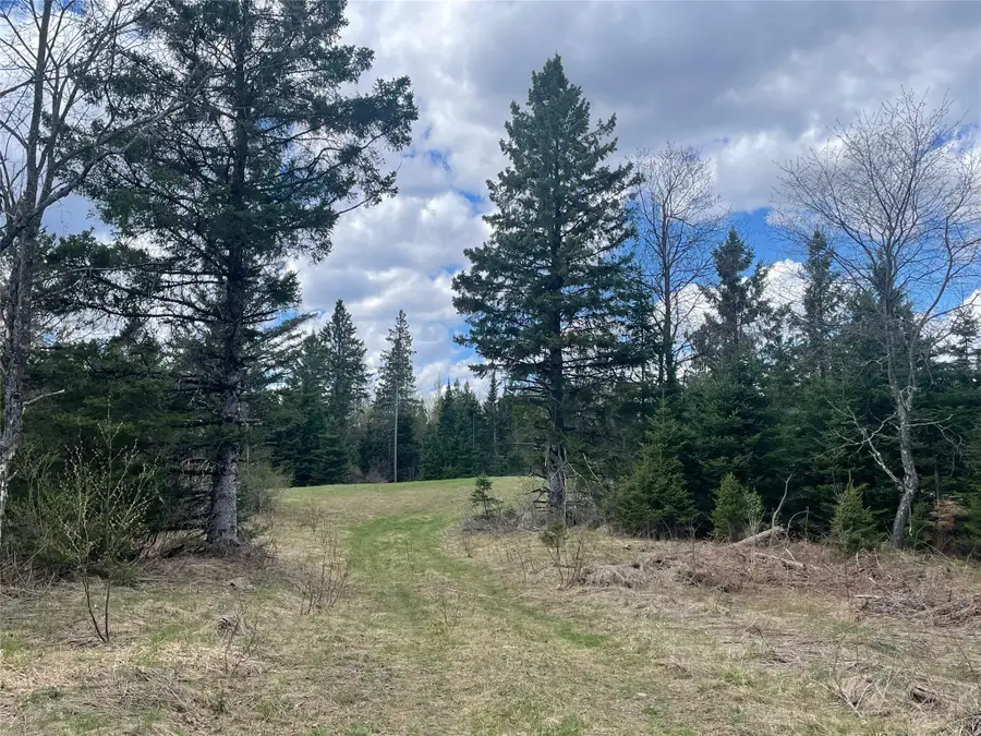 40+/- Acres On Pociask Road, Butternut, WI 54514 - #3