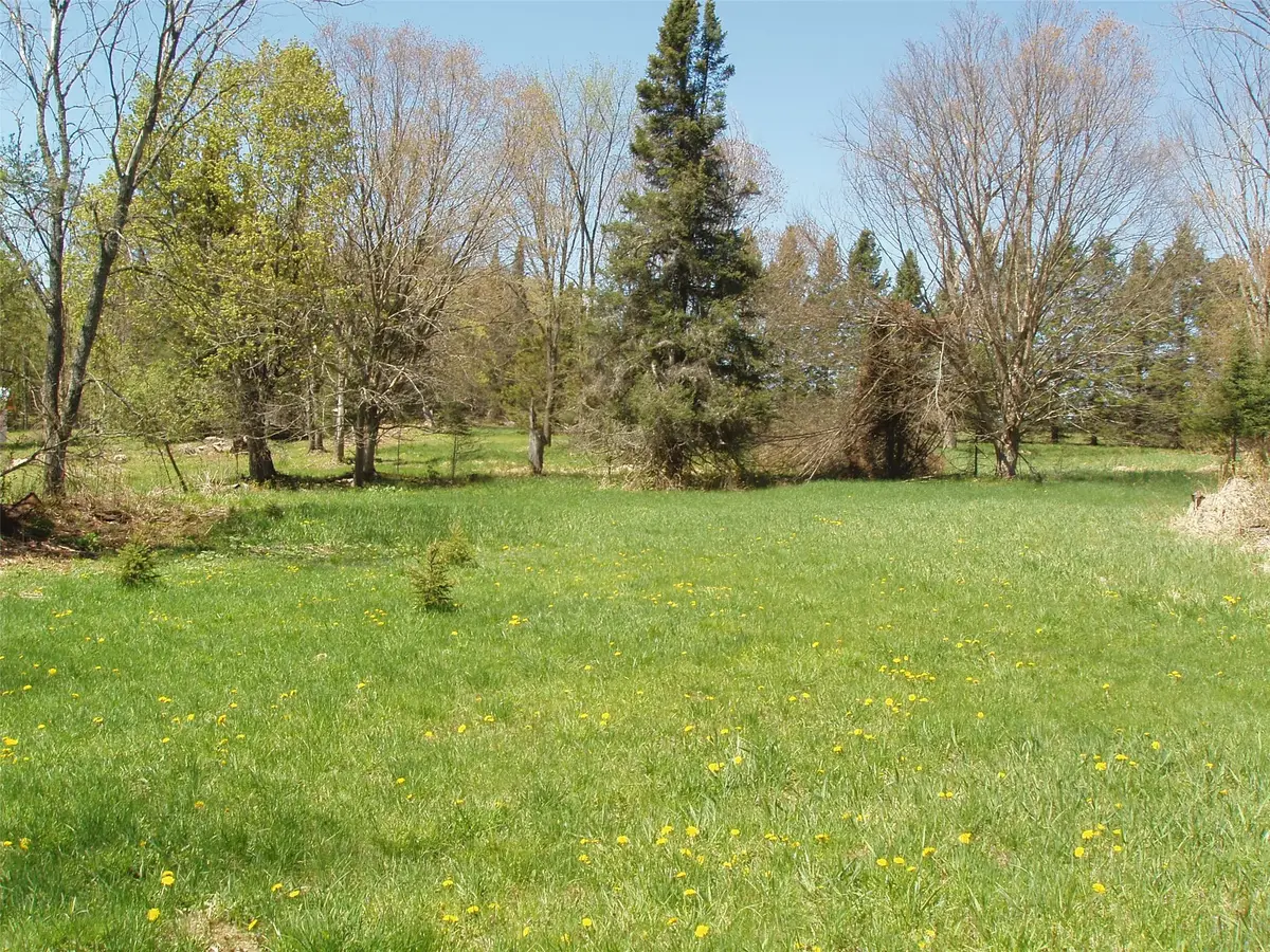 120 +/- Acres Off County Hwy N, Glidden, WI 54527 - #1