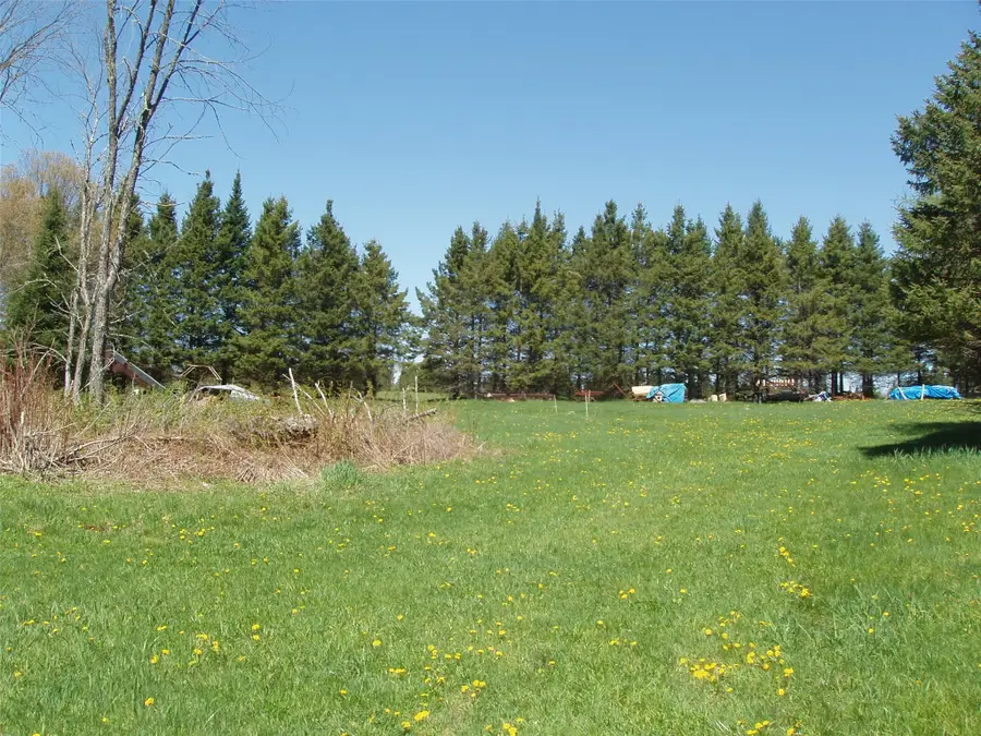 120 +/- Acres Off County Hwy N, Glidden, WI 54527 - #2