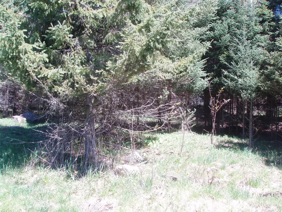120 +/- Acres Off County Hwy N, Glidden, WI 54527 - #3