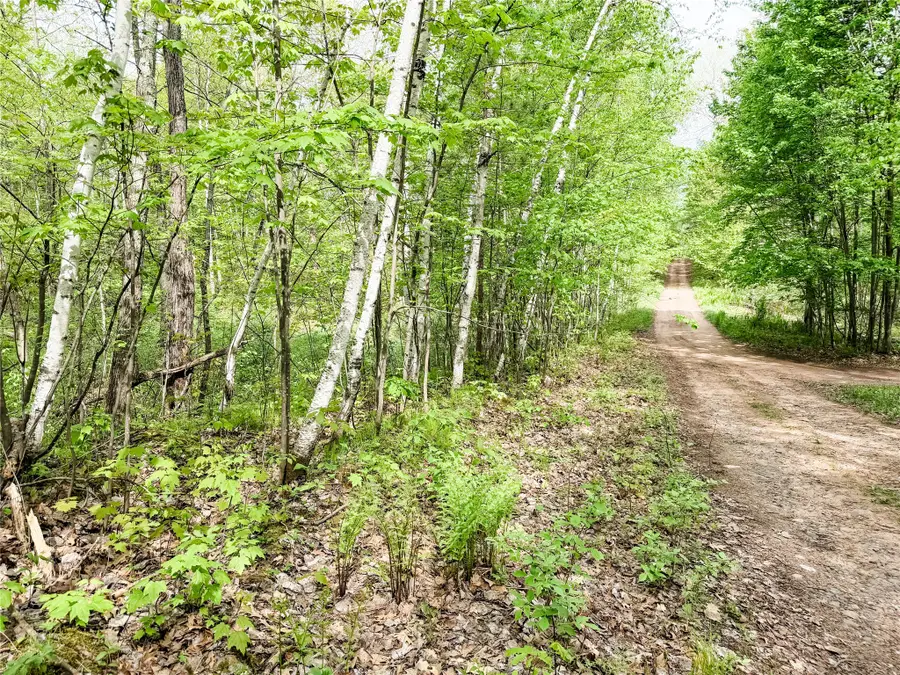 Lot 2 Peterson Road, Wascott, WI 54859 - #2