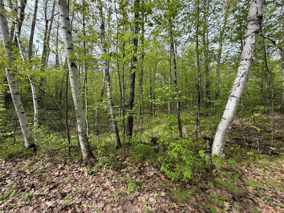 Lot 3 Peterson Road, Wascott, WI 54859 - #1