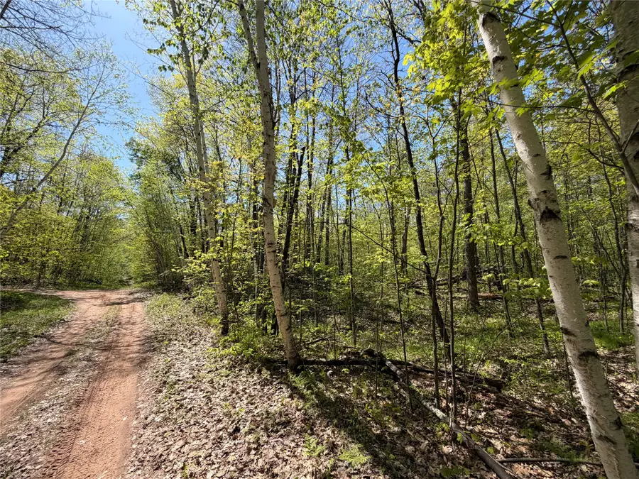 Lot 3 Peterson Road, Wascott, WI 54859 - #3