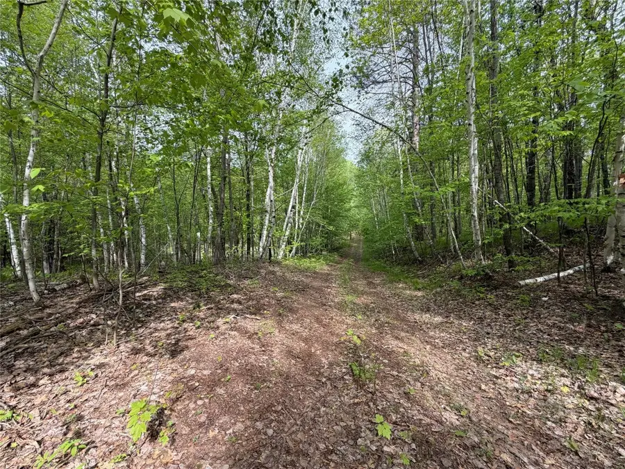 Lot 4 Peterson Road, Wascott, WI 54859 - #3