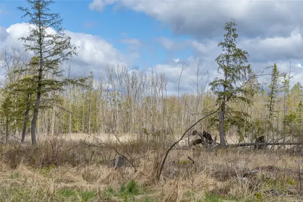 40 Acres Anderson & School Road, Glen Flora, WI 54526