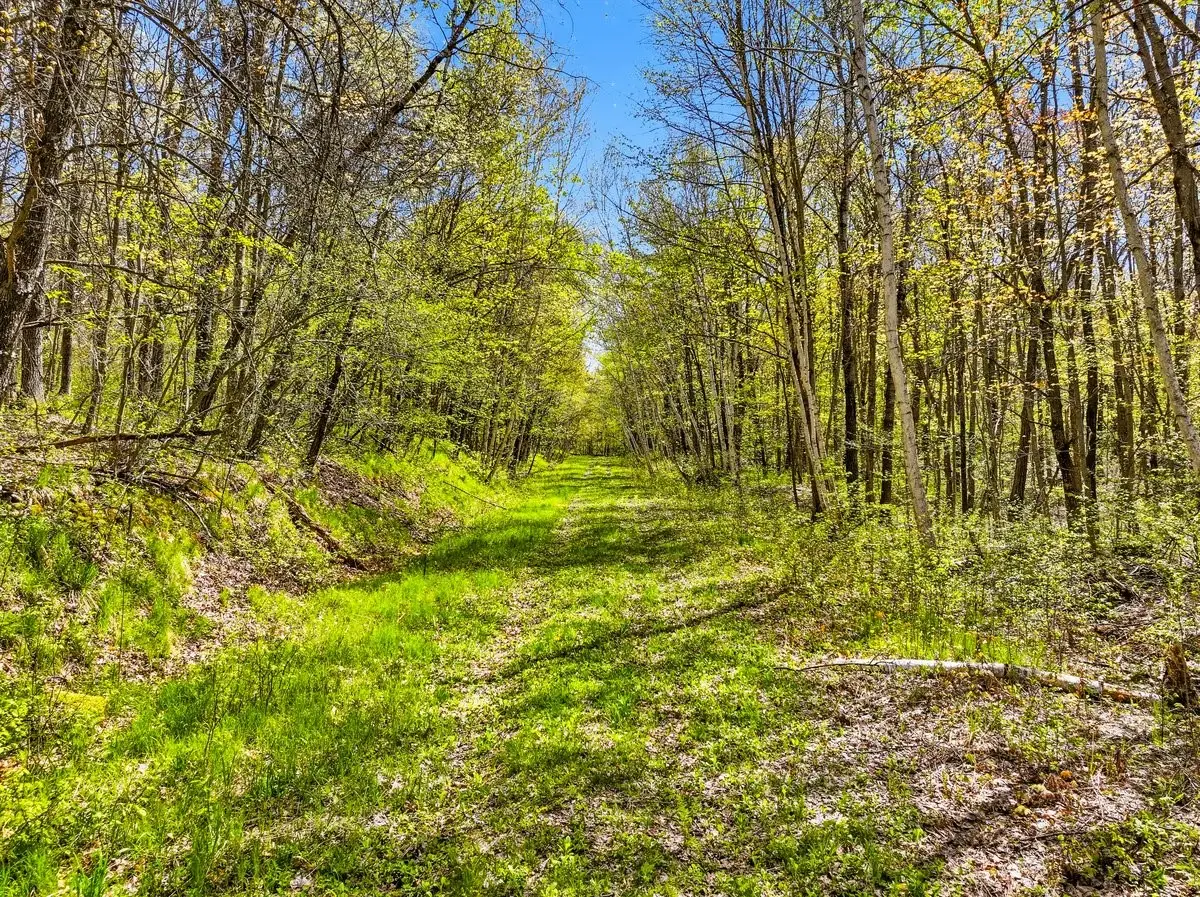W6474 River Road, Trego, WI 54888 - #1