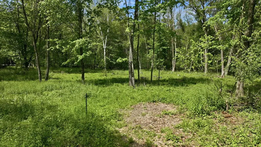 E6049 852nd Avenue, Colfax, WI 54730 - #2