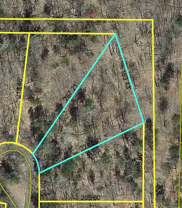Lot 36 Half Moon Trail, Danbury, WI 54830