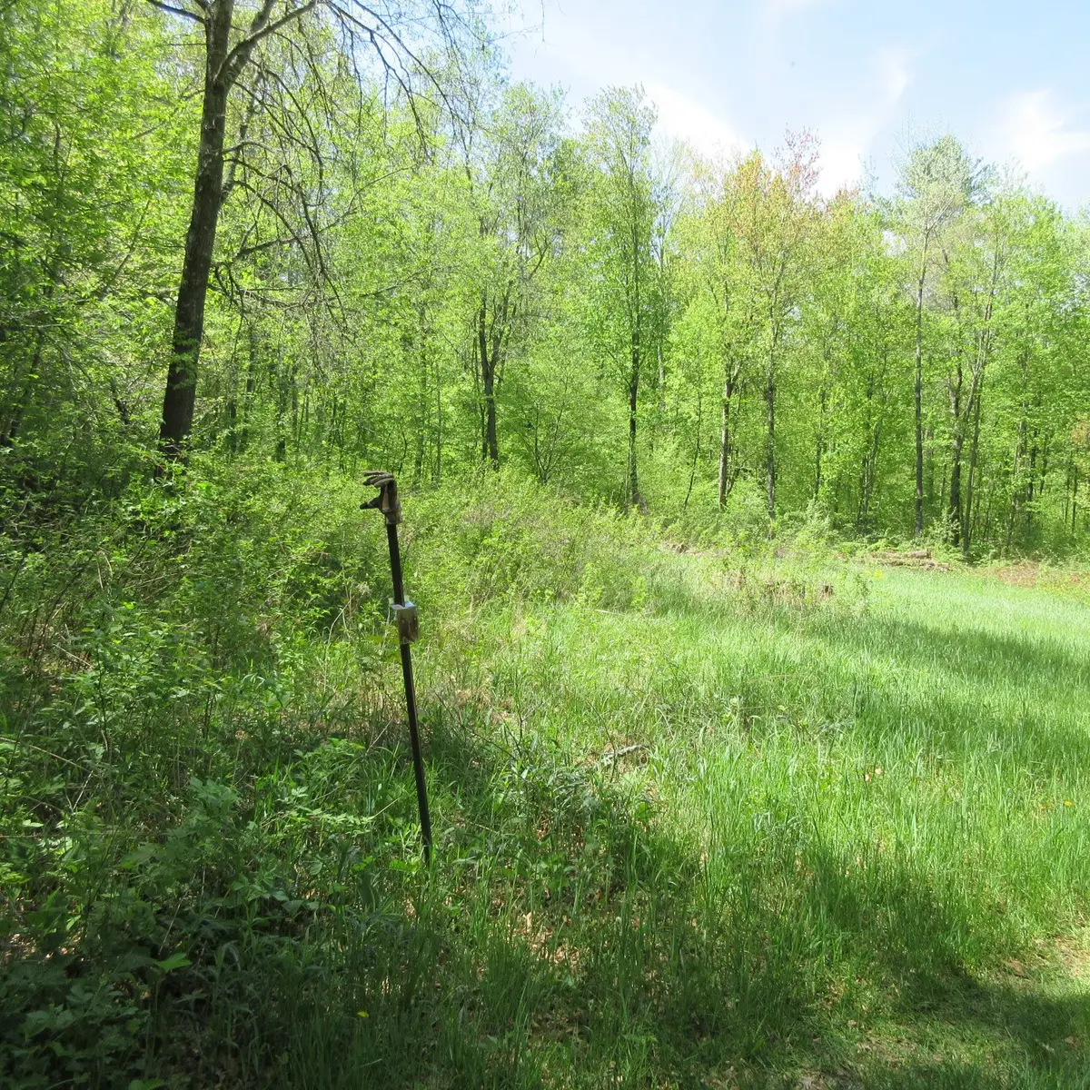 xxx 810th Avenue, Sherman, WI 54751 - #1