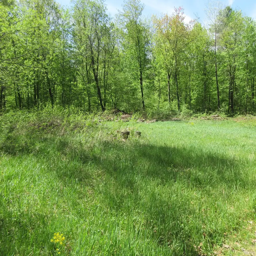 xxx 810th Avenue, Sherman, WI 54751 - #2