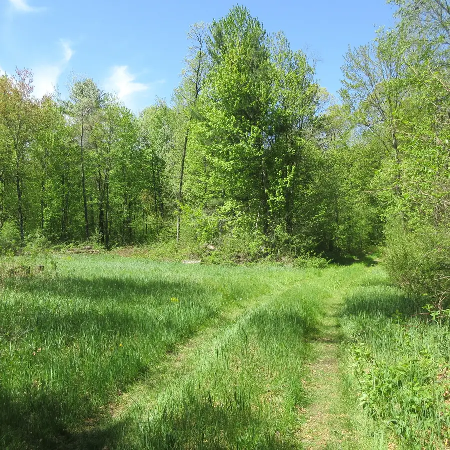 xxx 810th Avenue, Sherman, WI 54751 - #3