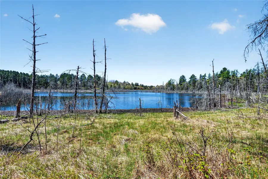 55065 Silverwolf Drive, Barnes, WI 54873 - #3