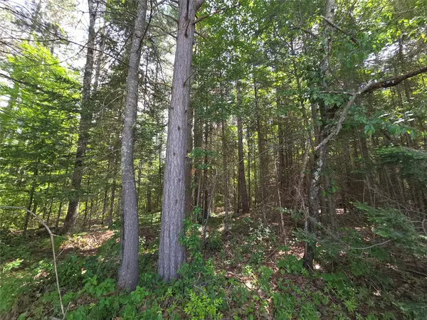Lot 1 E Solberg Lake Road, Phillips, WI 54555