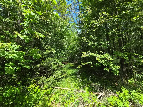 Lot 7 E Solberg Lake Road, Phillips, WI 54555