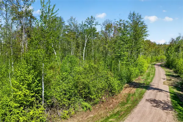 Lot 40 Horse Creek Trail, Ojibwa, WI 54862