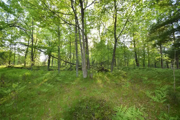 Lot 19 Aspen Hill Trailway, Webster, WI 54893
