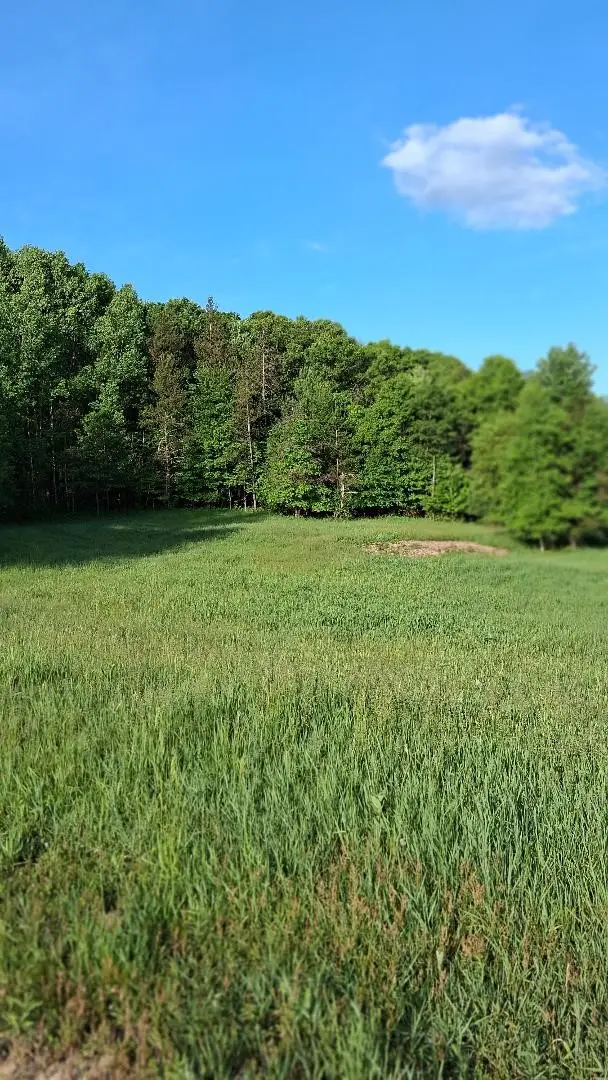 W14006 County Road B, Fairchild, WI 54741 - #2