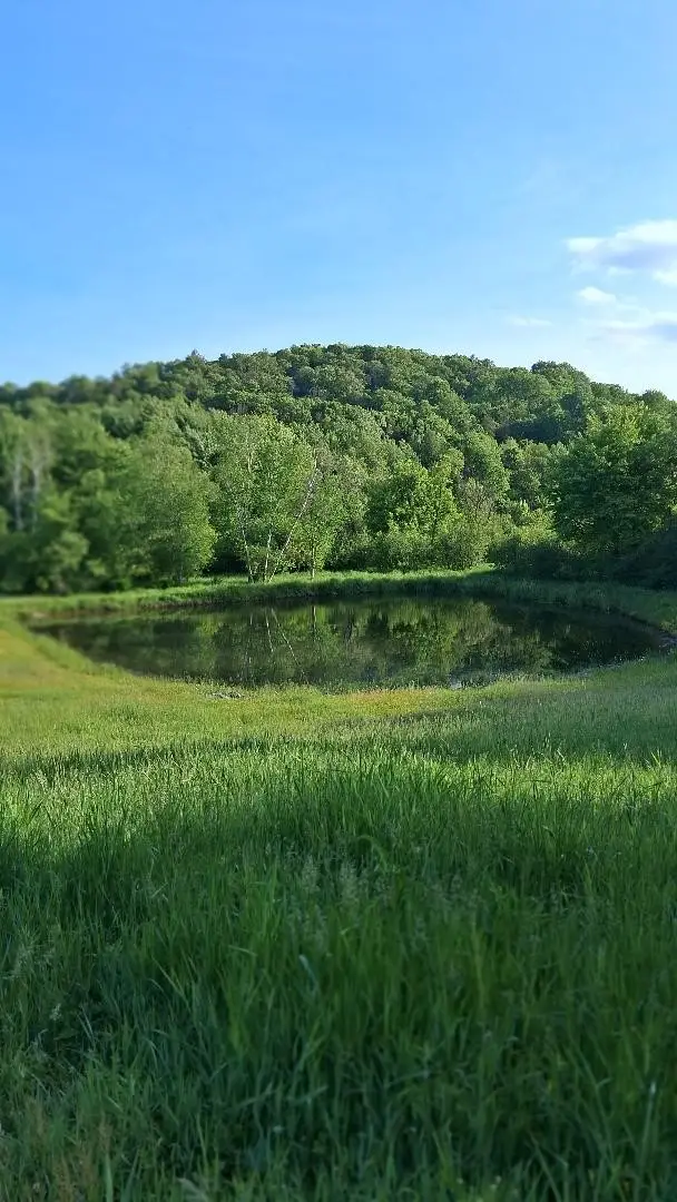 W14006 County Road B, Fairchild, WI 54741 - #3