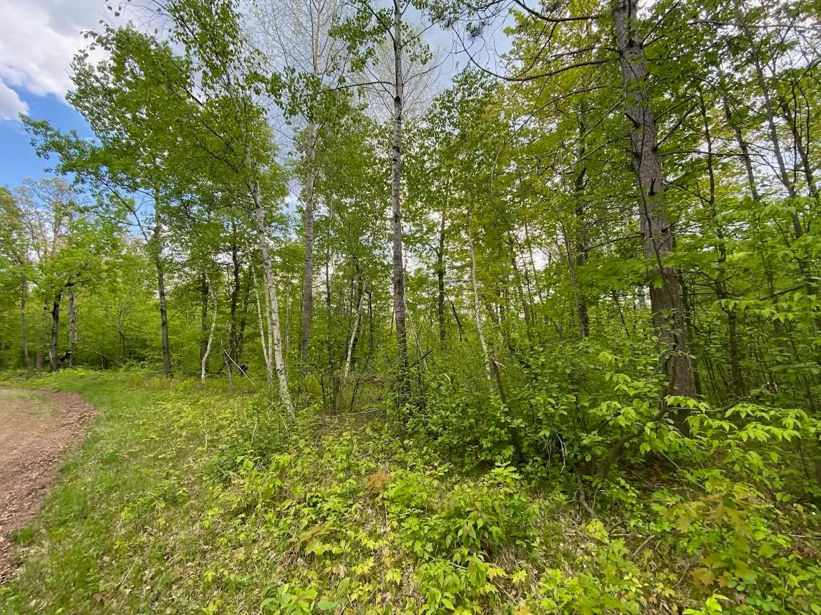 Lot 9 Hustvet Drive, Trego, WI 54888 - #1