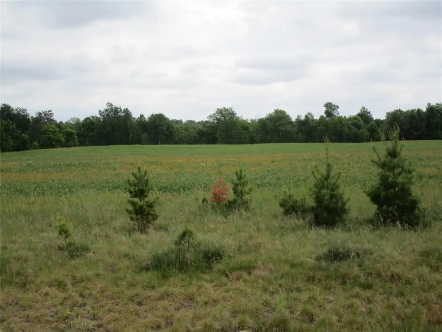 xxx River Pines Dr, Ladysmith, WI 54848 - #2