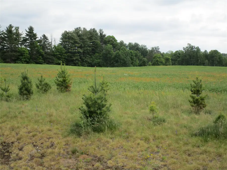 xxx River Pines Dr, Ladysmith, WI 54848 - #3