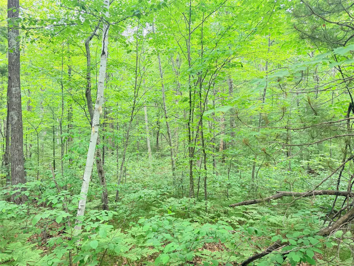 0 Schultz Lane, Stone Lake, WI 54876 - #1