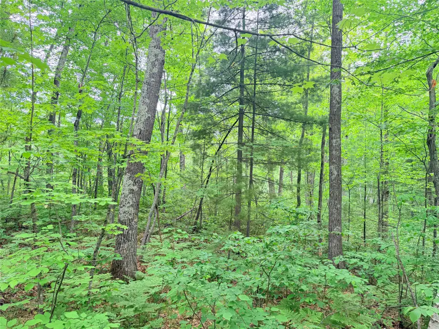 0 Schultz Lane, Stone Lake, WI 54876 - #3