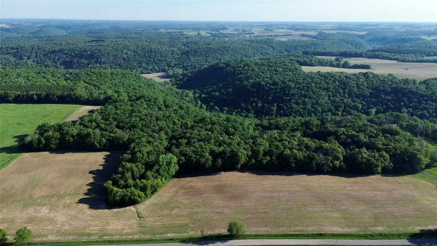 Lot 1 160th Avenue, Maiden Rock, WI 54750 - #2