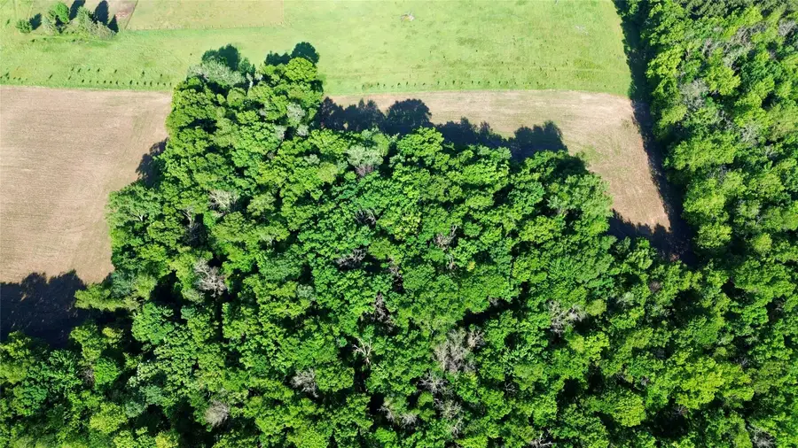 Lot 1 160th Avenue, Maiden Rock, WI 54750 - #3