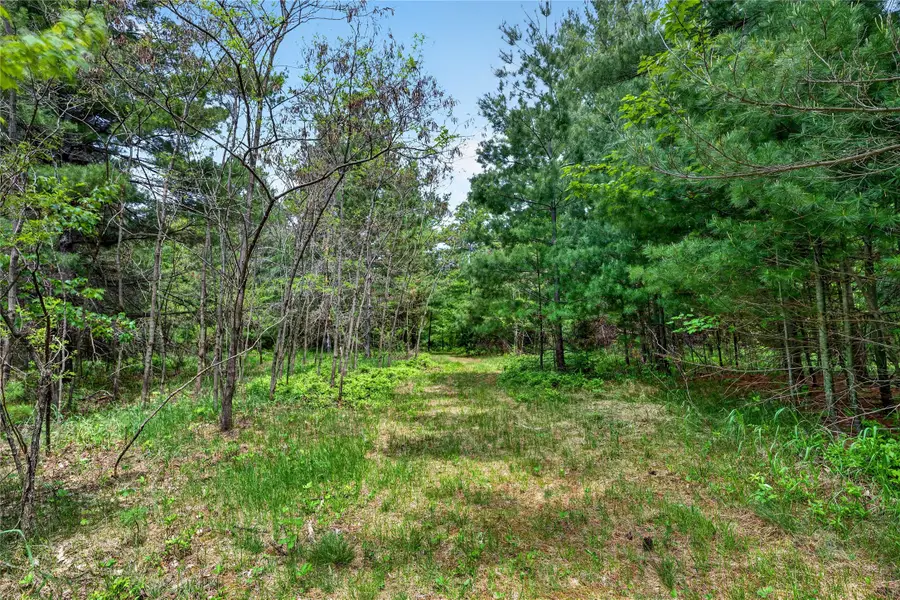 8355 Halfmoon Lake Drive, Iron River, WI 54847 - #3