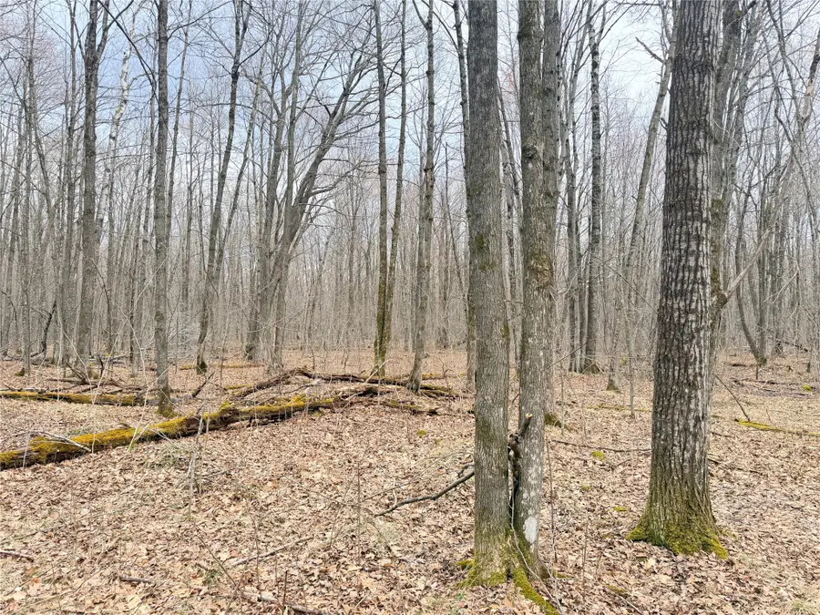 Lot 4 Hwy X, Glen Flora, WI 54526 - #2