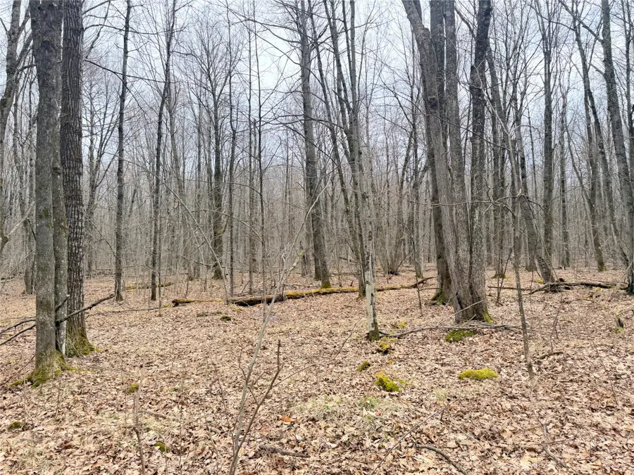 Lot 4 Hwy X, Glen Flora, WI 54526 - #3