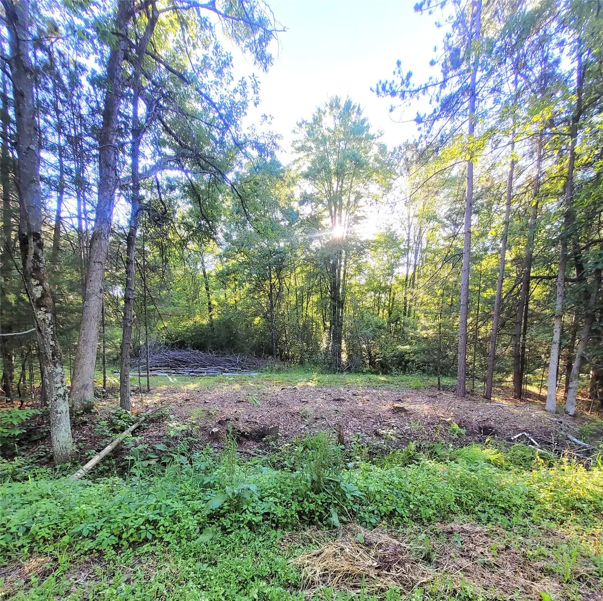 Lot 6 Old Highway12, Merrillan, WI 54754 - #1