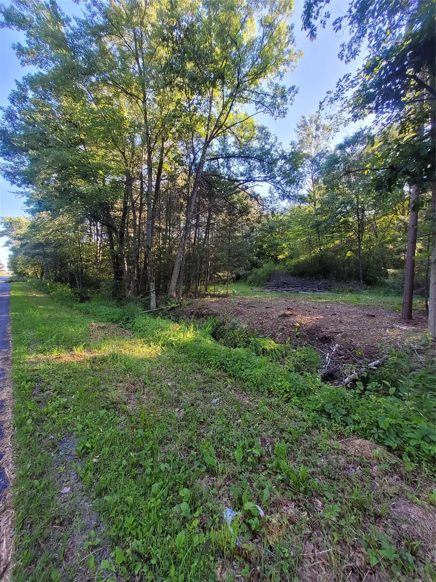 Lot 6 Old Highway12, Merrillan, WI 54754 - #2