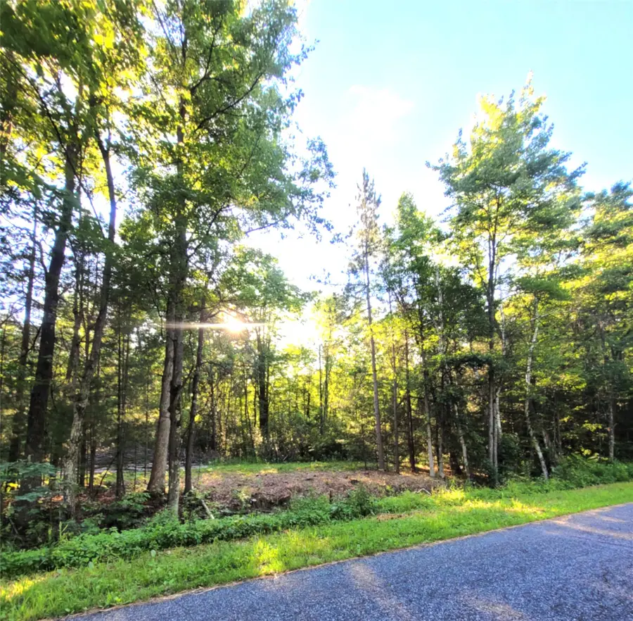 Lot 6 Old Highway12, Merrillan, WI 54754 - #3