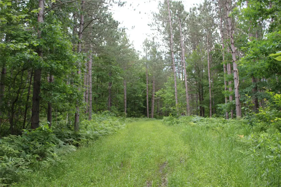 00 Rouse Road, Neillsville, WI 54456 - #3